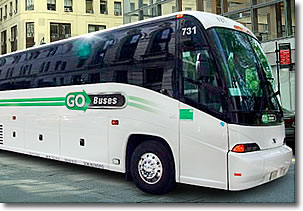 GO Buses