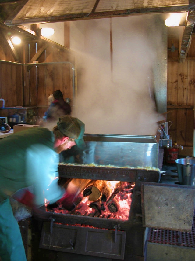Stoking the wood fire beneath the vat of boiling maple sap, Vermont