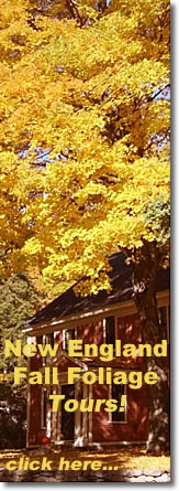 Fall foliage tours in New England USA