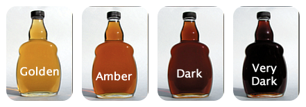 Maple syrup bottles by color grade