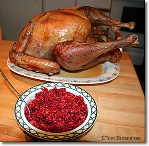 Turkey & Cranberry Sauce, Thanksgiving in New England USA