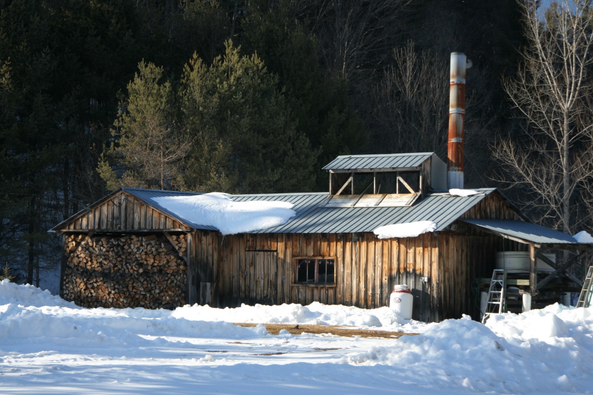 A sugar house in the Berkshire Hills of Massachusetts