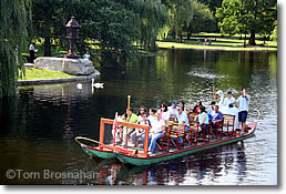 Swan Boat in the Public Garden, Boston MA