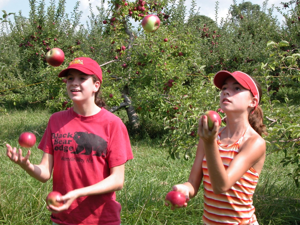 Picking--and Juggling--Apples, Bolton MA
