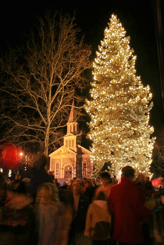 Lighting the holiday tree, Concord MA