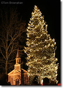 Christmas Tree, Concord MA