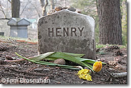 Henry David Thoreau's Grave, Concord MA