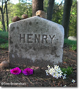 Henry David Thoreau's Grave, Sleepy Hollow Cemetery, Concord MA