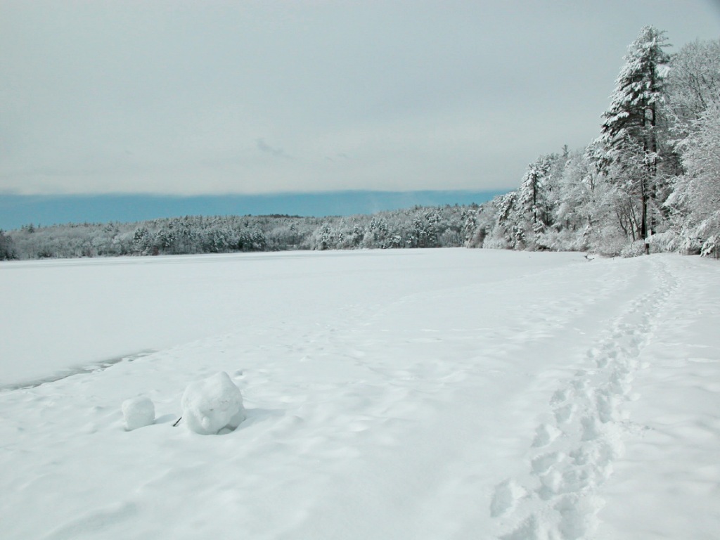 Winter at Walden Pond, Concord, Massachusetts