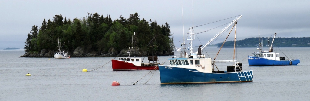 Fishing boats in Johnson Bay, Lubec, Maine