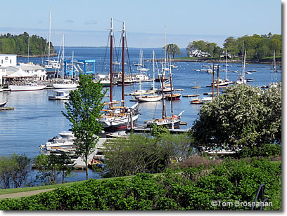 Harbor of Camden, Maine