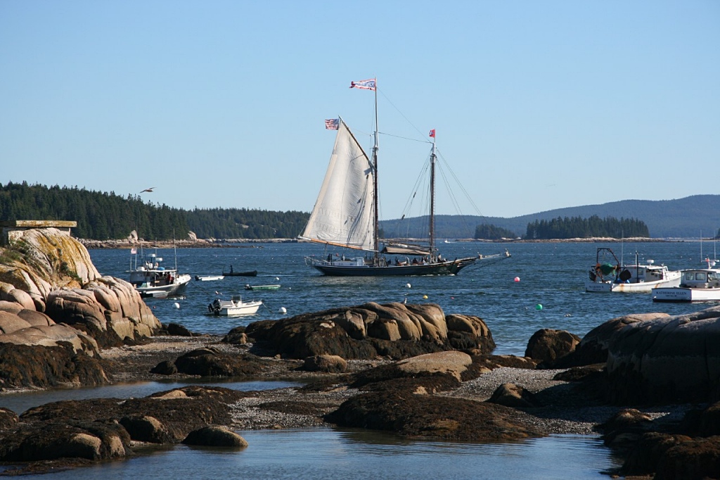 Windjammer in Stonington harbor, Maine
