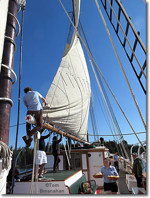 Passengers help furl the mainsail aboard windjammer Victory Chimes, Maine