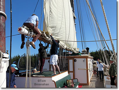 Passengers help furl the mainsail on windjammer Victory Chimes, Penobscot Bay, Maine