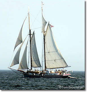 Maine Windjammer under full sail, Penobscot Bay