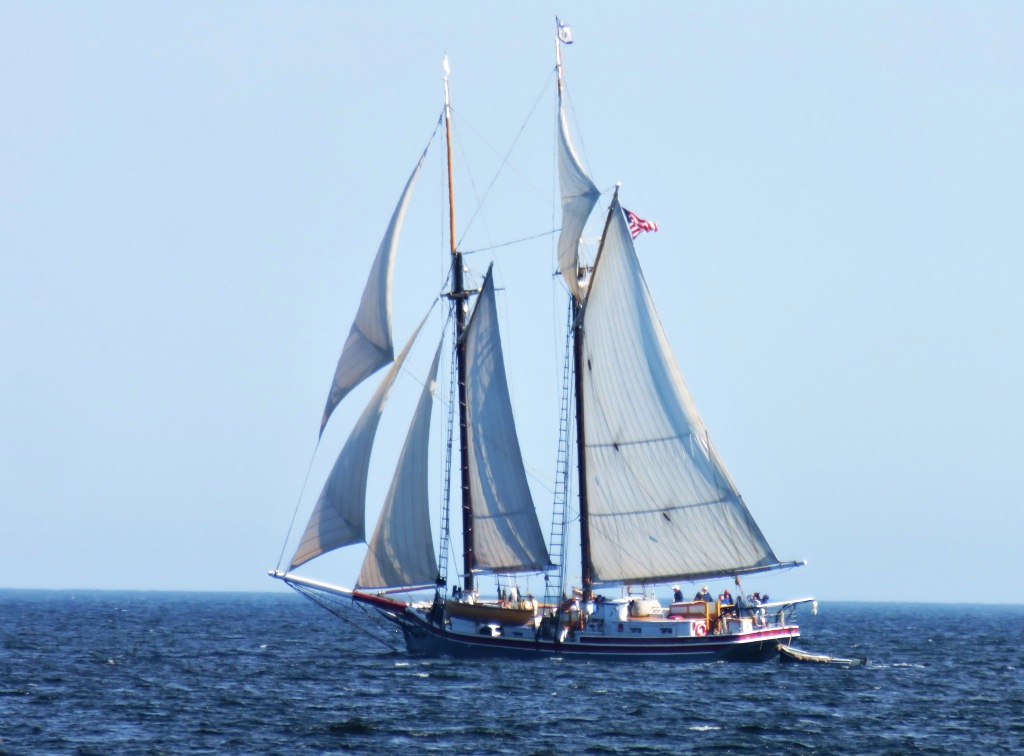 Maine Windjammer under full sail, Penobscot Bay