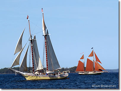 Maine windjammers sail in for the Gam (gathering) of schooners