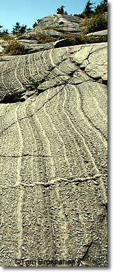 Gneiss on Mount Monadnock, New Hampshire