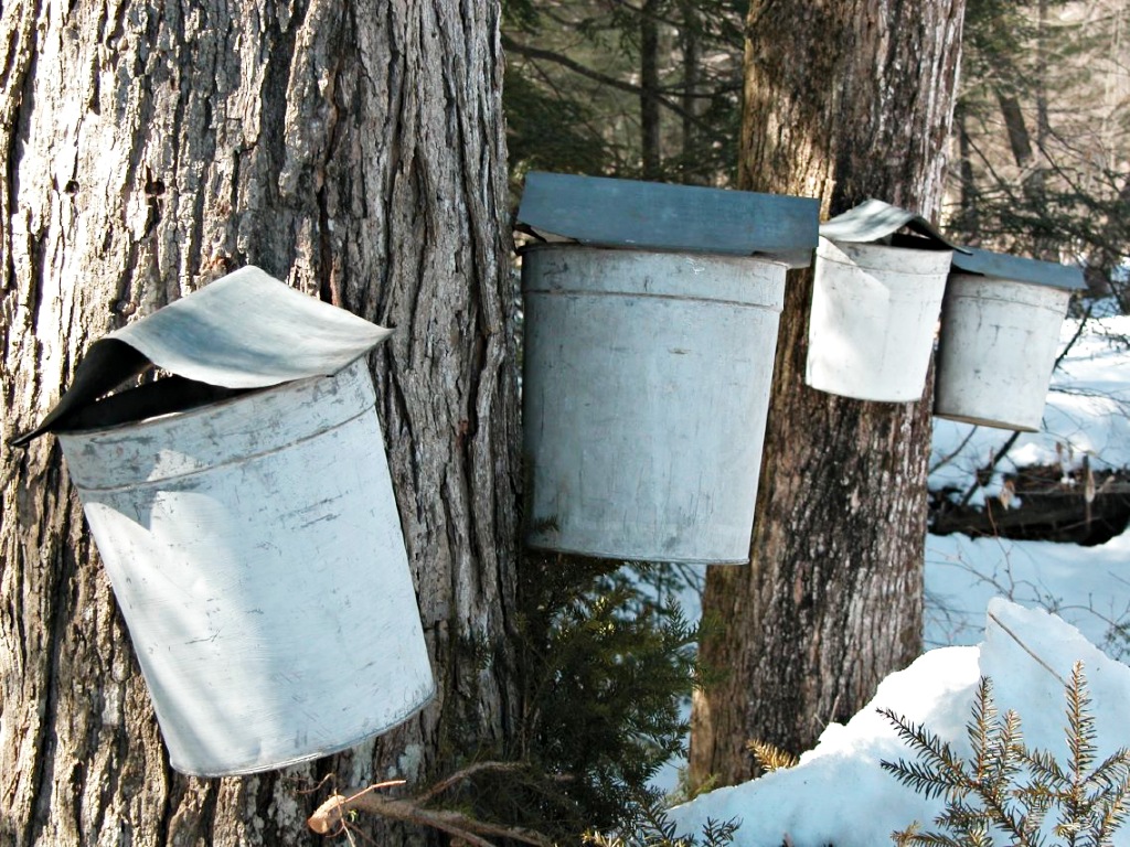 Old-fashioned maple sap pails, Brattleboro, Vermont